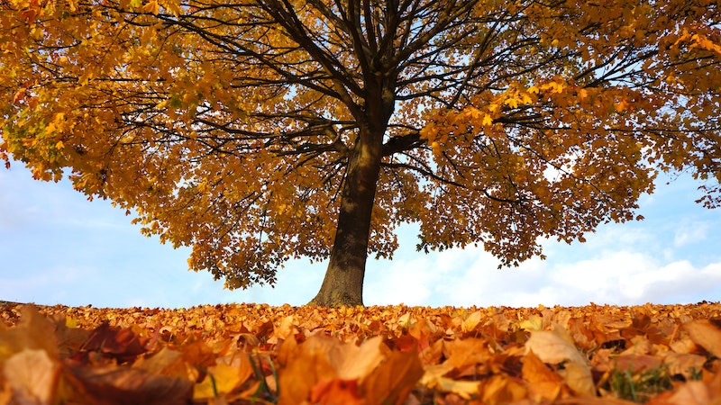 First day of fall